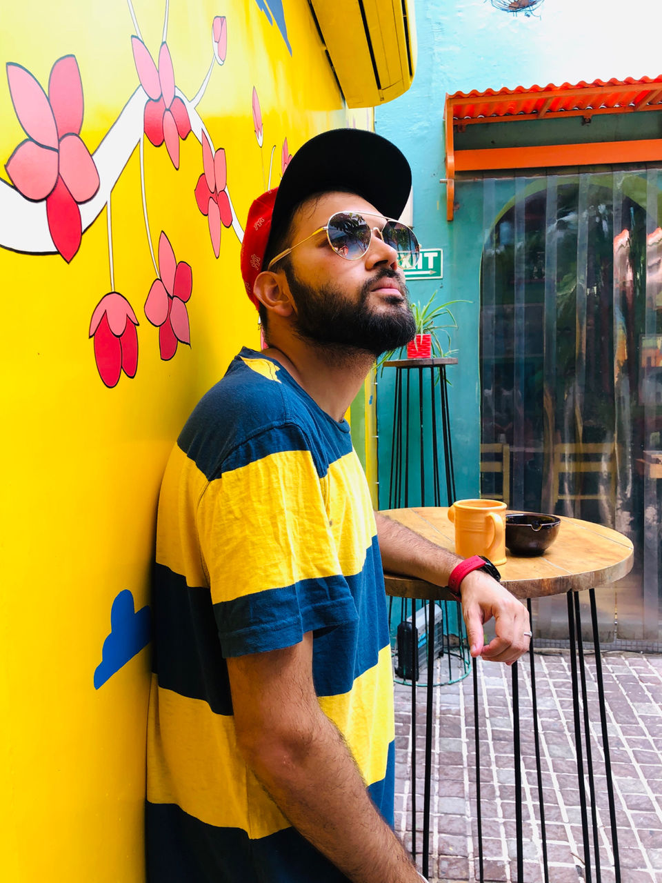 Photo of Guppy, Block 13, Lodi Colony, New Delhi, Delhi, India by NJ Vlogger