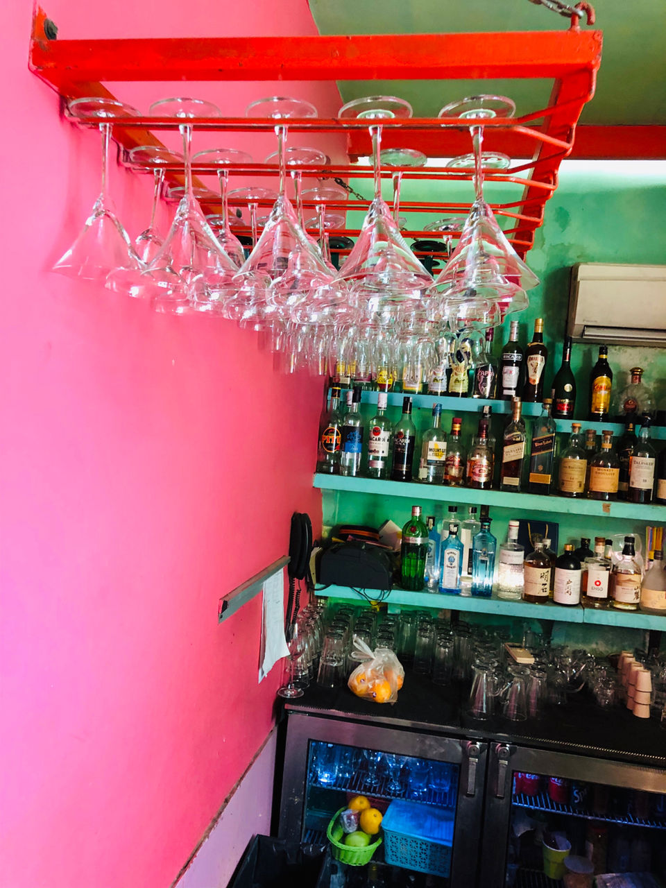 Photo of Guppy, Block 13, Lodi Colony, New Delhi, Delhi, India by NJ Vlogger