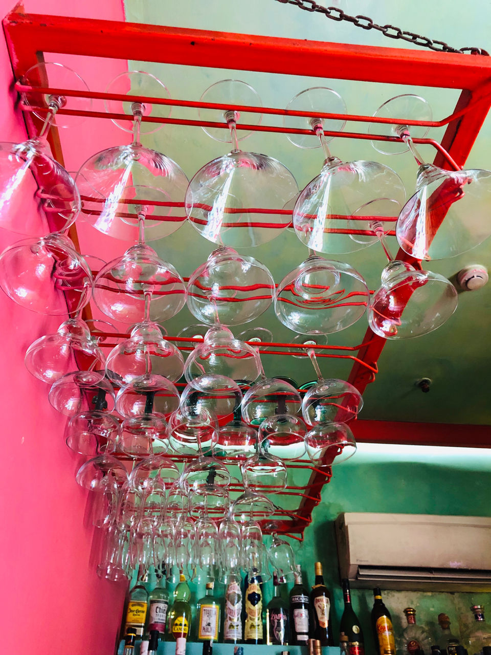 Photo of Guppy, Block 13, Lodi Colony, New Delhi, Delhi, India by NJ Vlogger