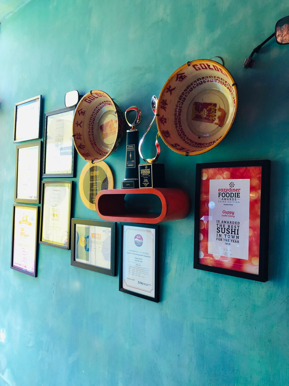 Photo of Guppy, Block 13, Lodi Colony, New Delhi, Delhi, India by NJ Vlogger