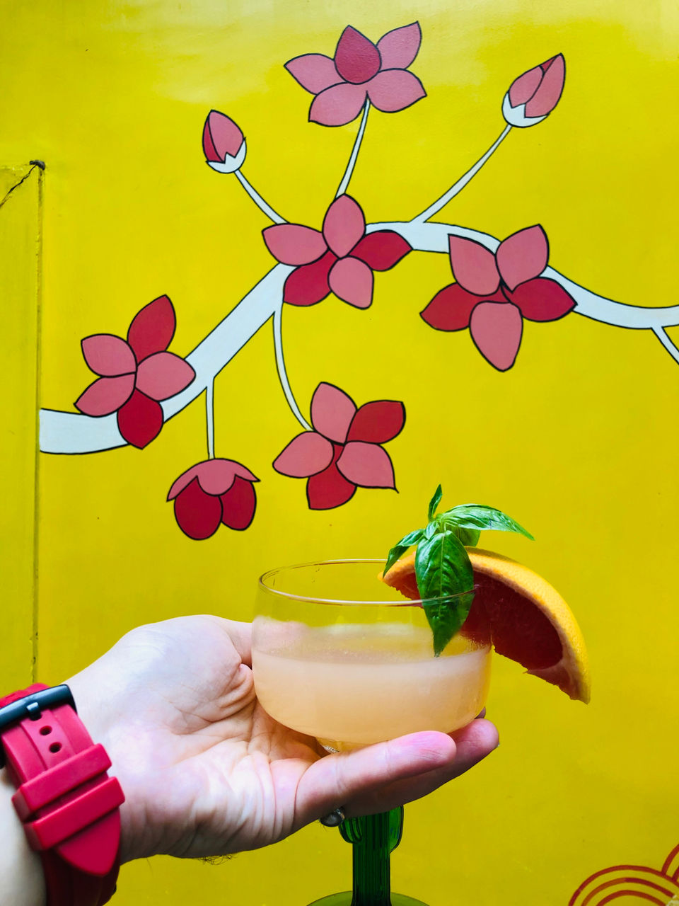 Photo of Guppy, Block 13, Lodi Colony, New Delhi, Delhi, India by NJ Vlogger