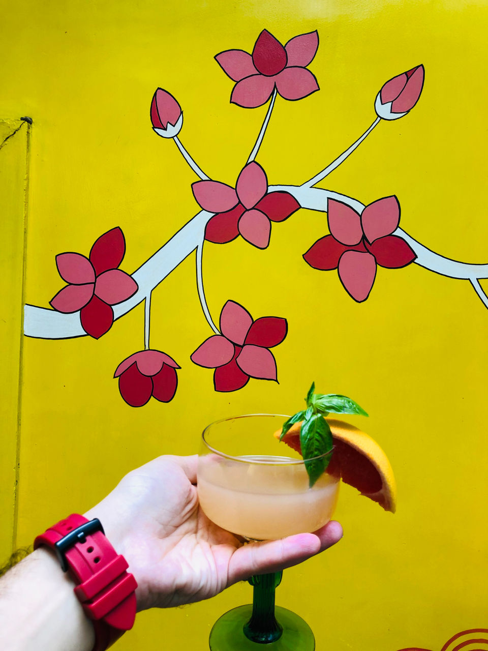 Photo of Guppy, Block 13, Lodi Colony, New Delhi, Delhi, India by NJ Vlogger