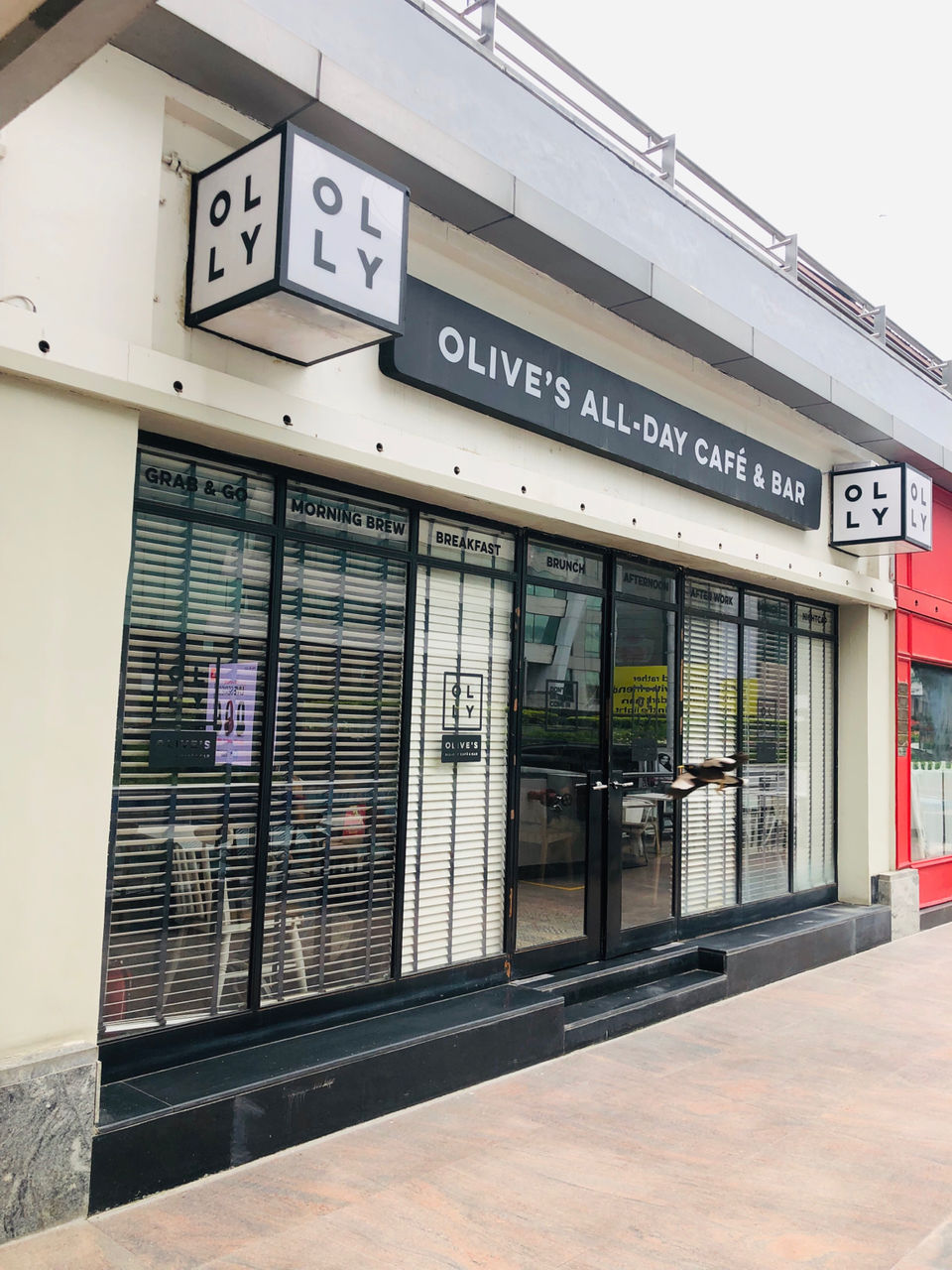 Photo of Olly, DLF Cyber City, DLF Phase 2, Sector 24, Gurugram, Haryana, India by NJ Vlogger