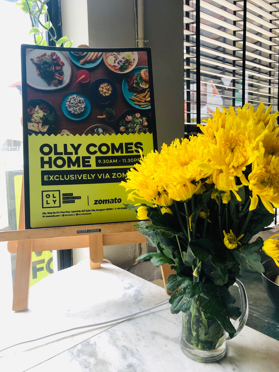 Photo of Olly, DLF Cyber City, DLF Phase 2, Sector 24, Gurugram, Haryana, India by NJ Vlogger