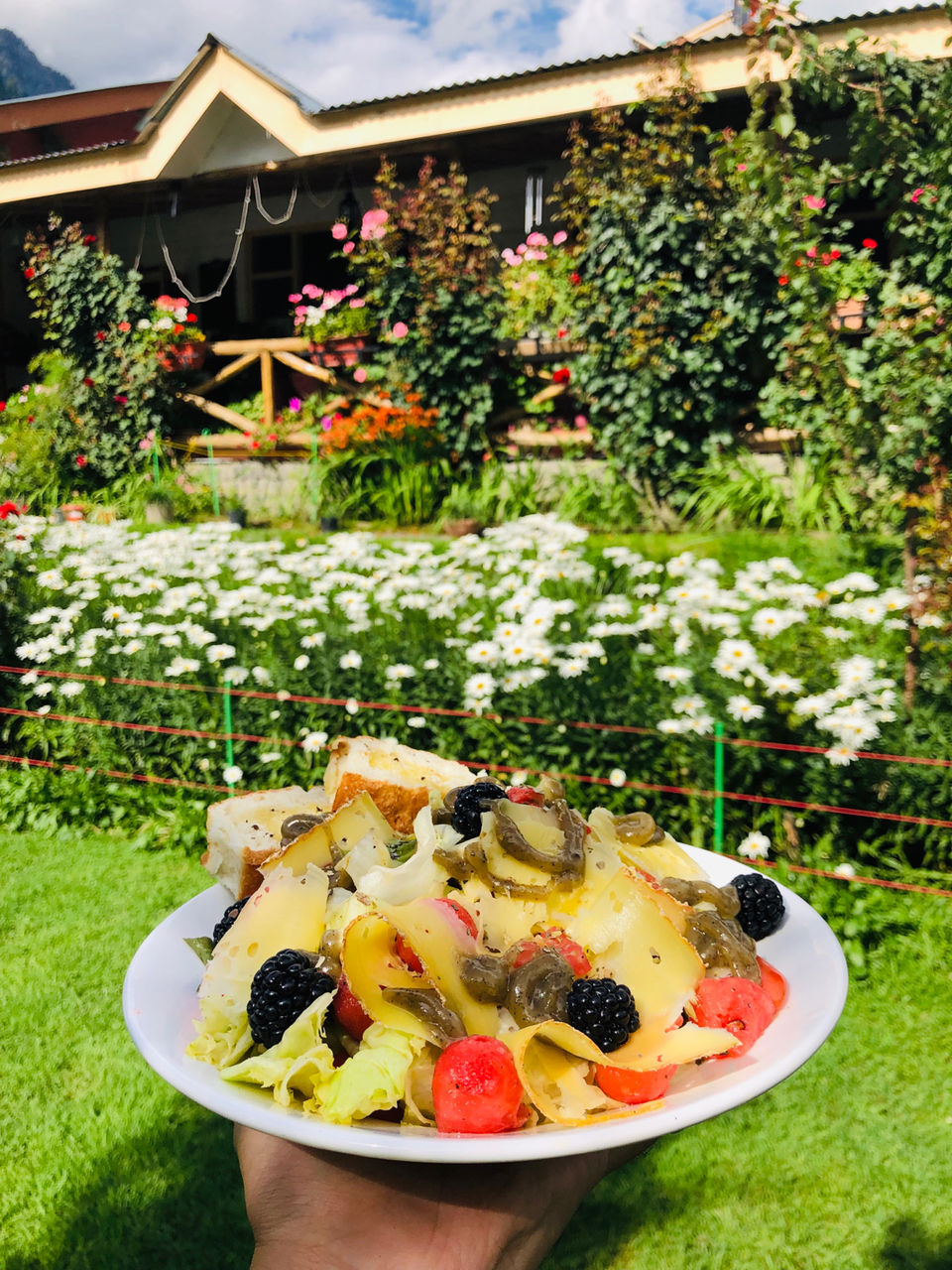 Photo of Fat Plate, Naggar Road, Shuru, Manali, Himachal Pradesh, India by NJ Vlogger
