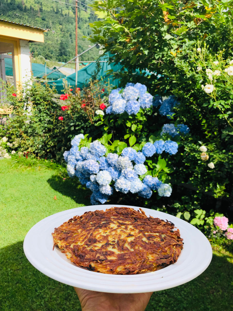 Photo of Fat Plate, Naggar Road, Shuru, Manali, Himachal Pradesh, India by NJ Vlogger