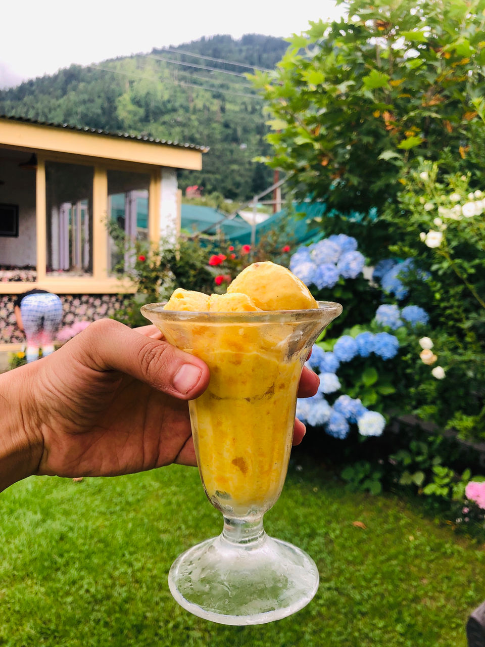 Photo of Fat Plate, Naggar Road, Shuru, Manali, Himachal Pradesh, India by NJ Vlogger