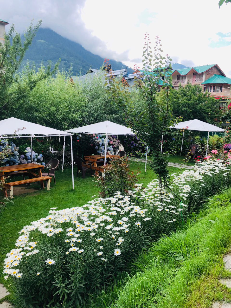 Photo of Fat Plate, Naggar Road, Shuru, Manali, Himachal Pradesh, India by NJ Vlogger