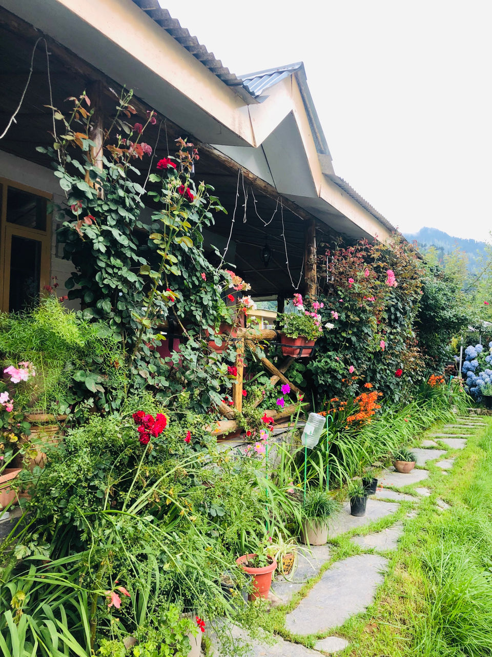 Photo of Fat Plate, Naggar Road, Shuru, Manali, Himachal Pradesh, India by NJ Vlogger