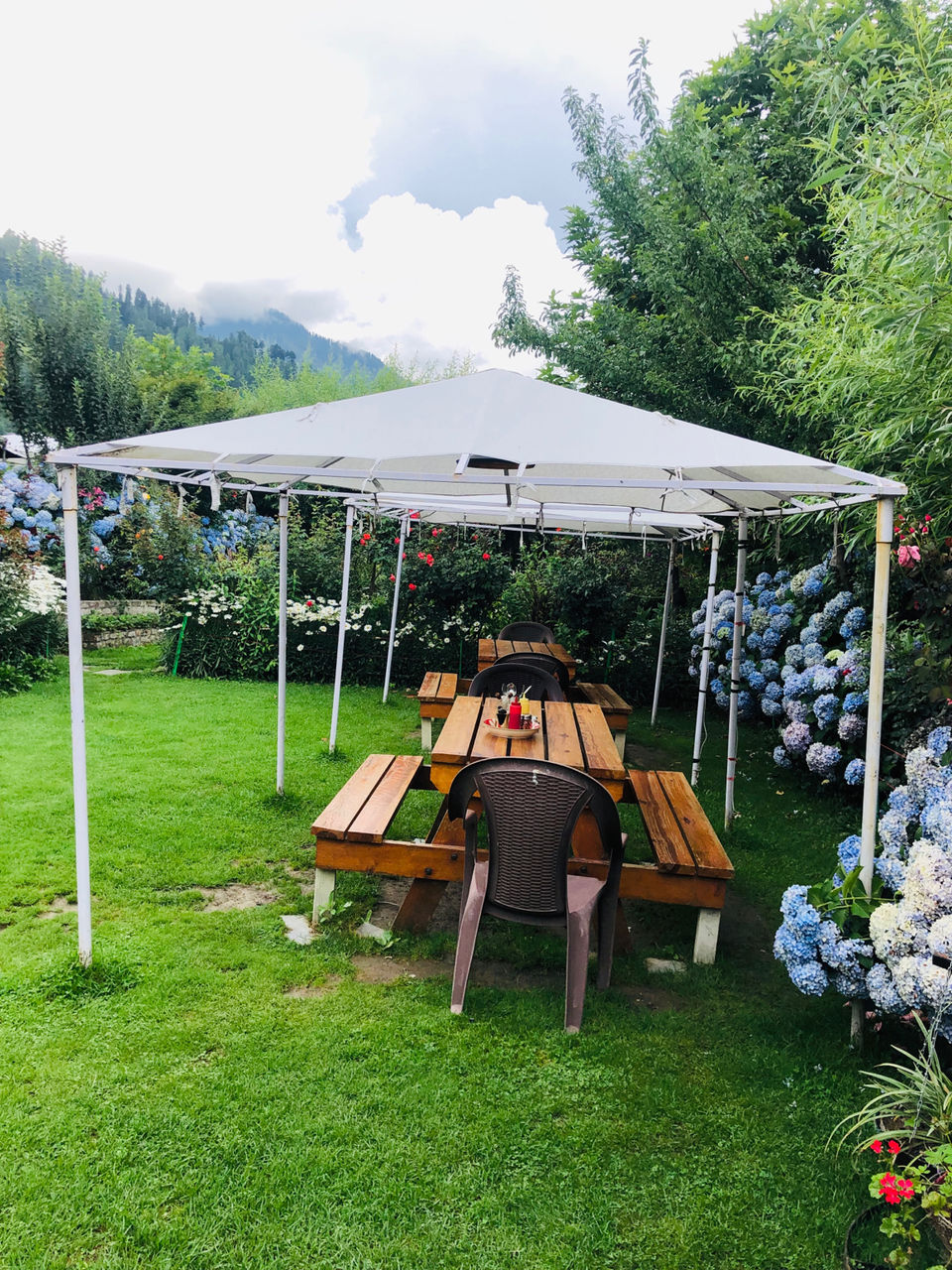 Photo of Fat Plate, Naggar Road, Shuru, Manali, Himachal Pradesh, India by NJ Vlogger
