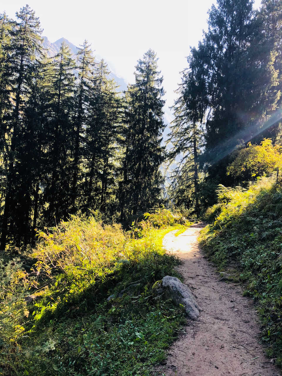 Photo of Kheerganga Trek - The most exotic place in Himachal Pradesh by NJ Vlogger