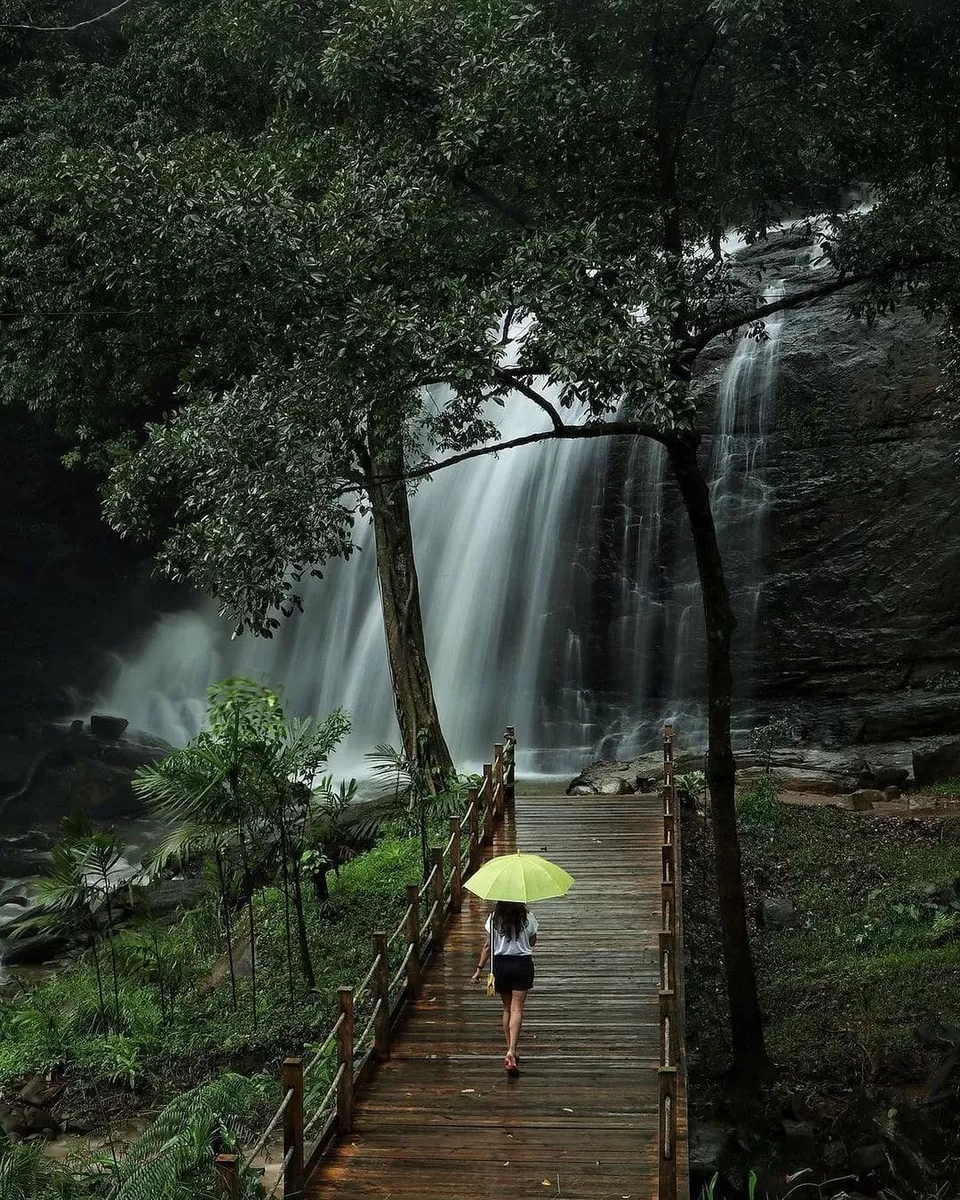 Photo of Coorg, Karnataka, India by Preetish Priyadarshi