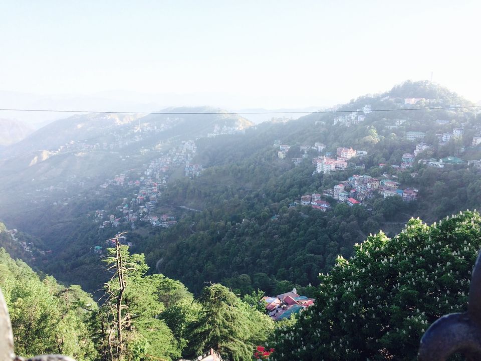 Photo of 2 Days In Shimla 14/16 by Lavanyam Pathania