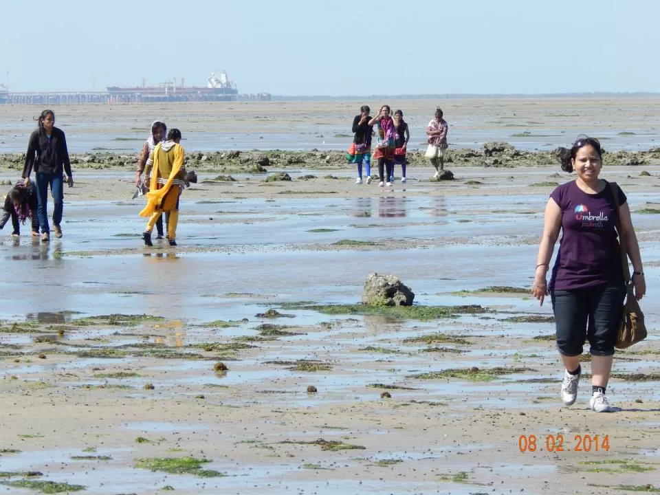 Photo of Narara Marine National Park, Devbhoomi Dwarka, Gujarat, India by Preeti Singh