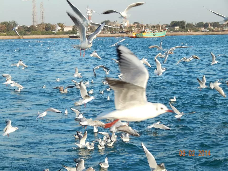 Photo of Dwarka, Gujarat, India by Preeti Singh