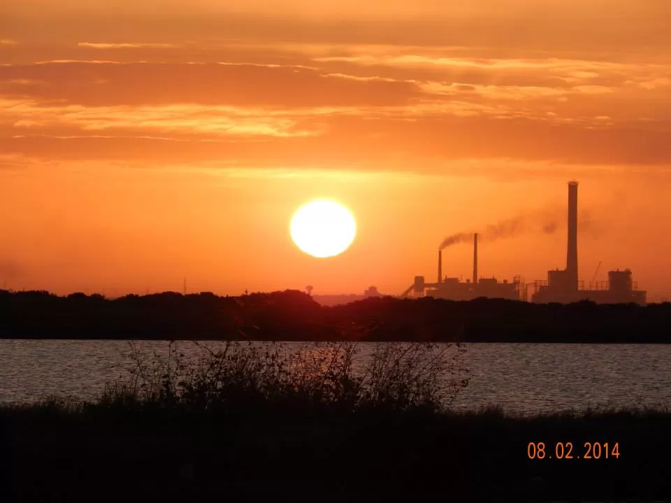 Photo of Narara Marine National Park, Devbhoomi Dwarka, Gujarat, India by Preeti Singh