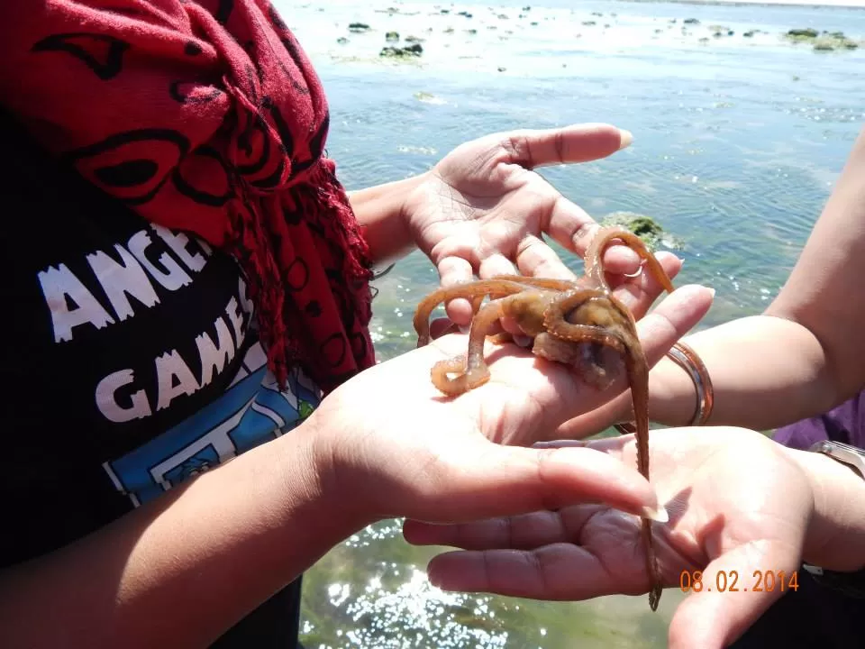 Photo of Narara Marine National Park, Devbhoomi Dwarka, Gujarat, India by Preeti Singh