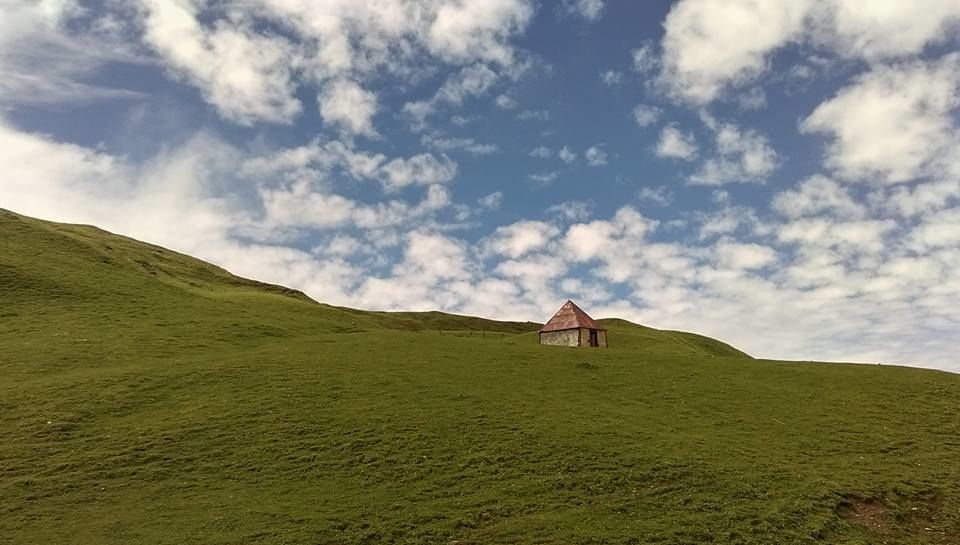 Photo of Heaven is where the Himalayas are! 3/23 by Preeti Singh