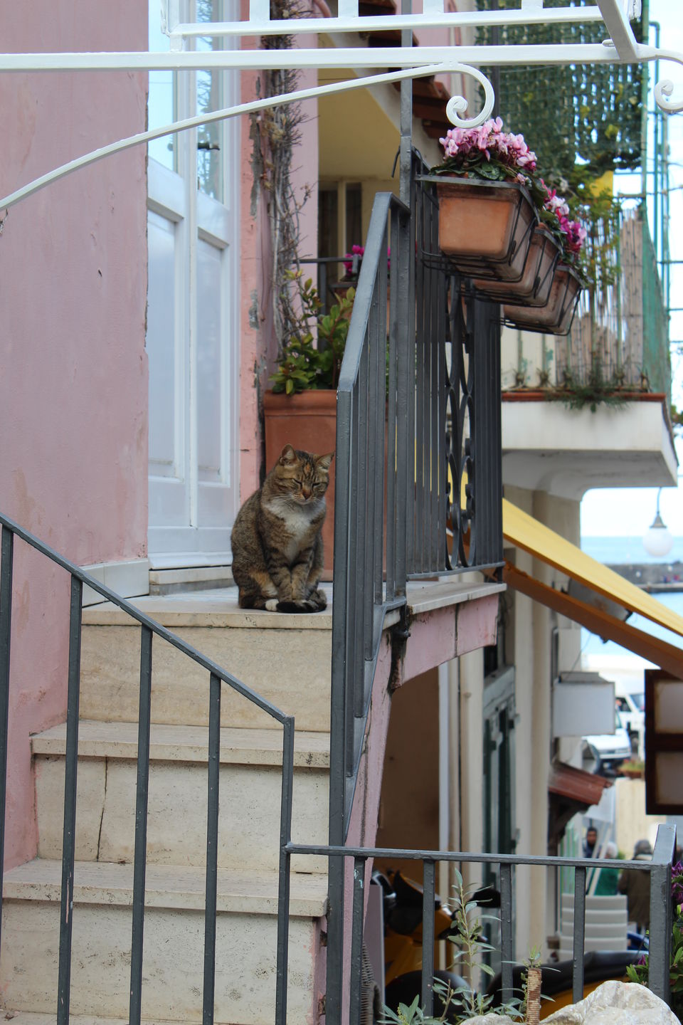 Photo of Capri, Metropolitan City of Naples, Italy by Preeti Singh