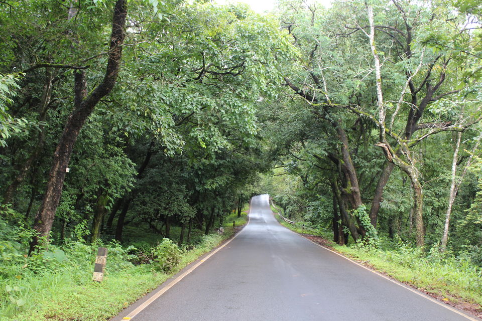 Photo of Wildernest Nature Resort, Chorla, Goa, India by Shilpa Shashidhar