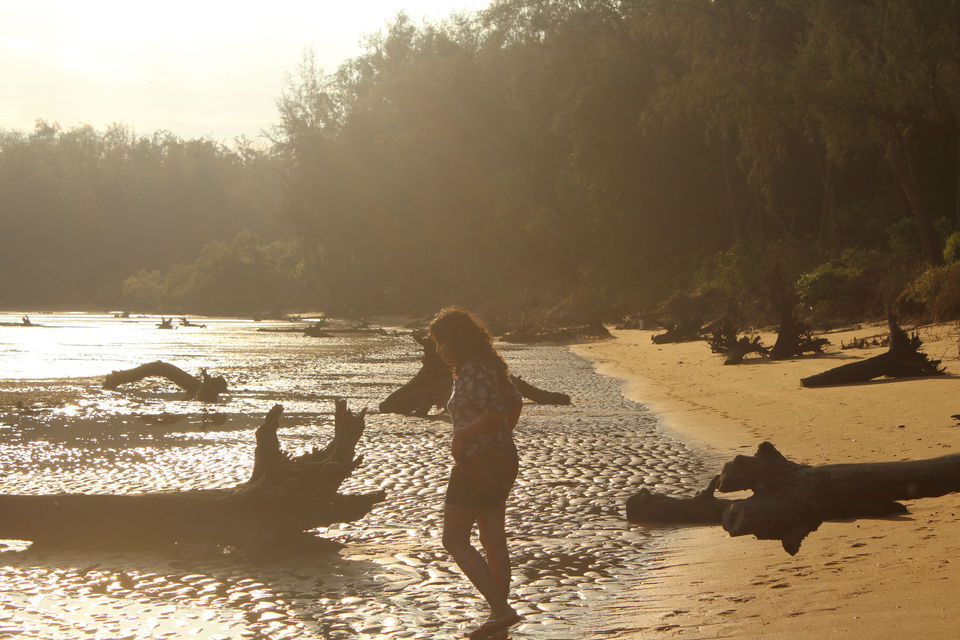 Photo of Devbagh Beach, Karwar, Karnataka, India by Shilpa Shashidhar