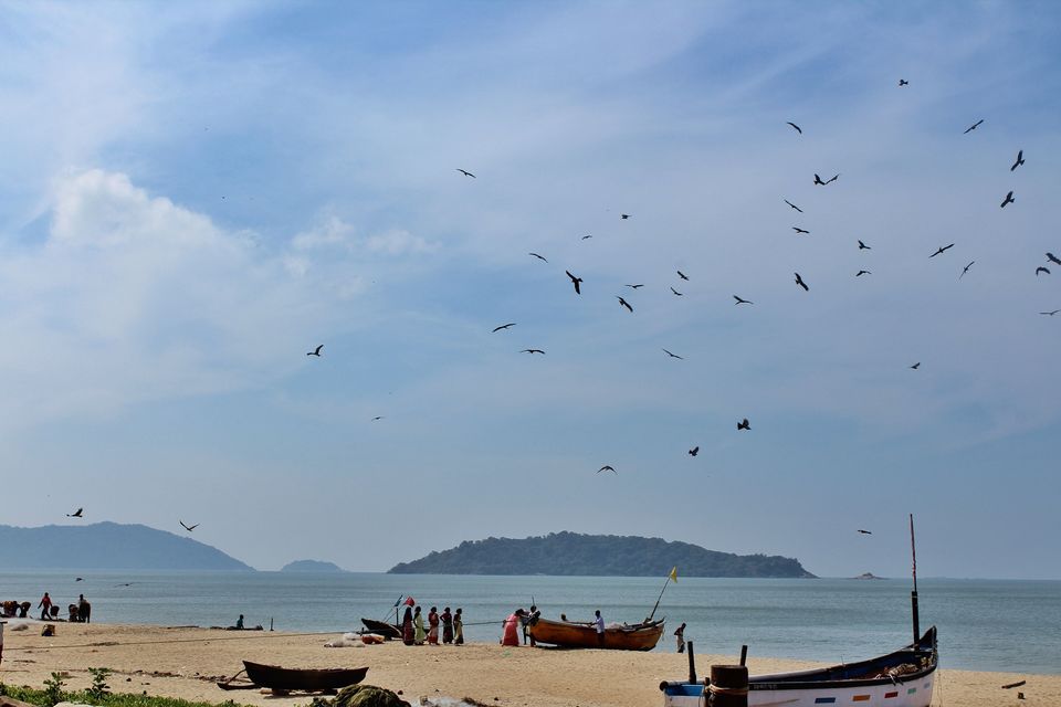 Photo of Karwar – Discovering Karnataka’s gem by Shilpa Shashidhar