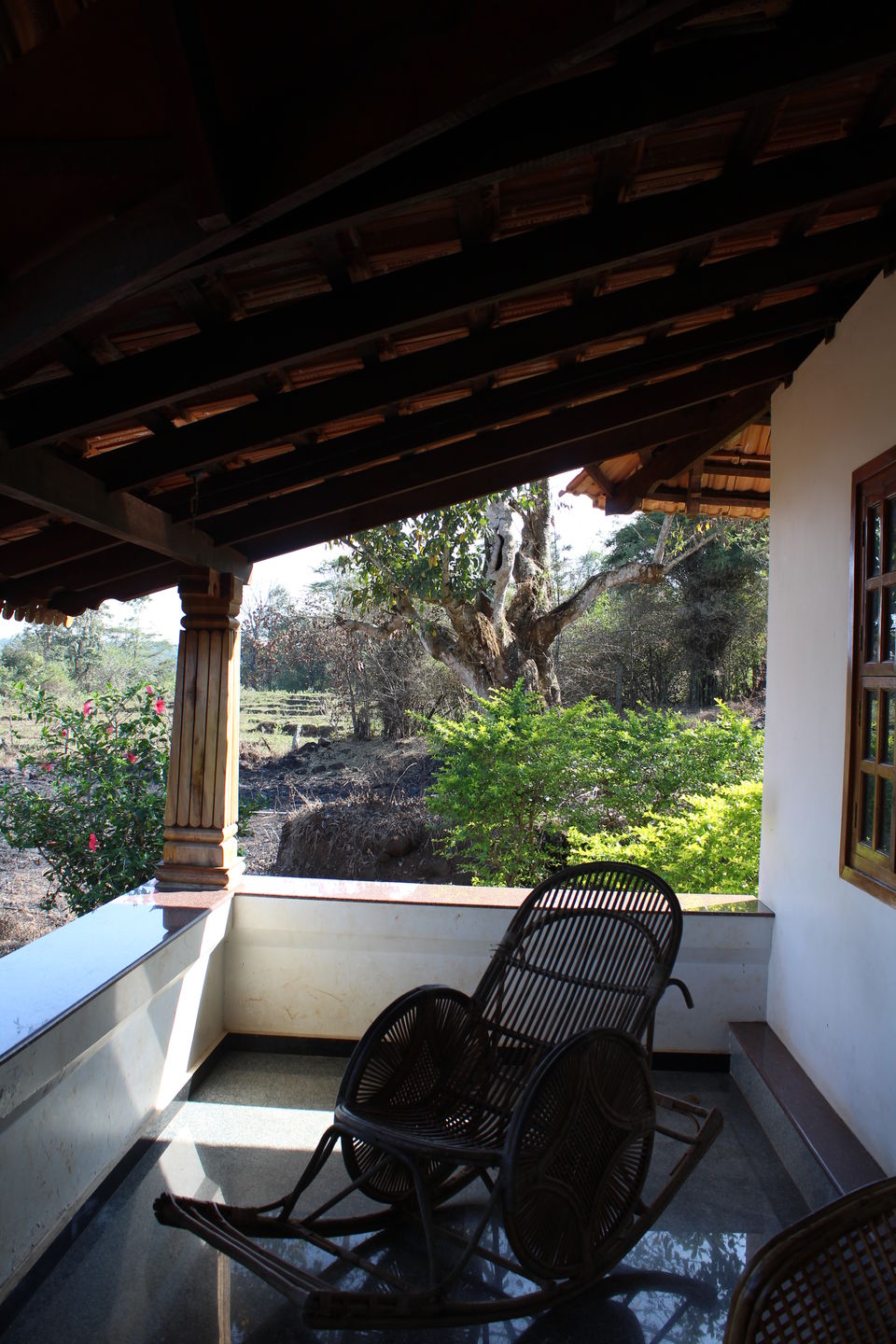 Photo of To the coffee country : Coorg 1/1 by Shilpa Shashidhar