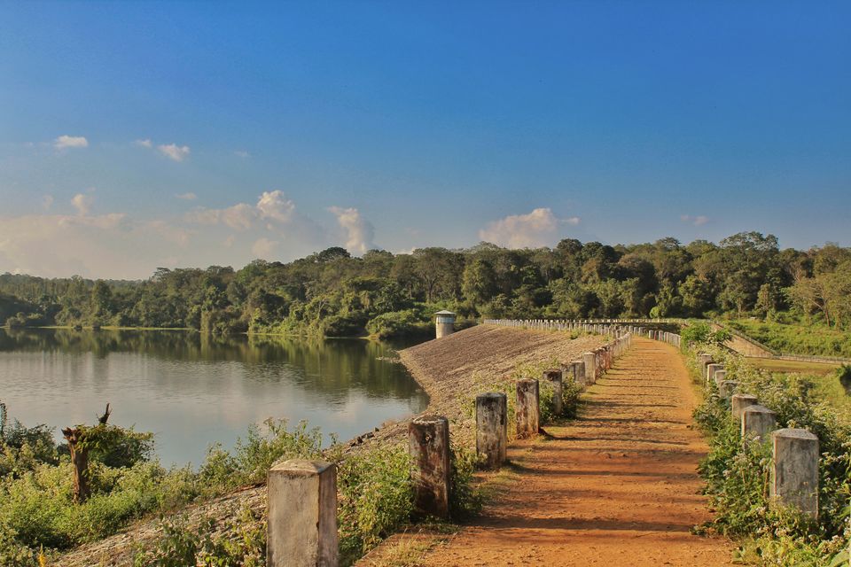 Photo of Chiklihole Reservoir, Attur Forest, Karnataka by Shilpa Shashidhar