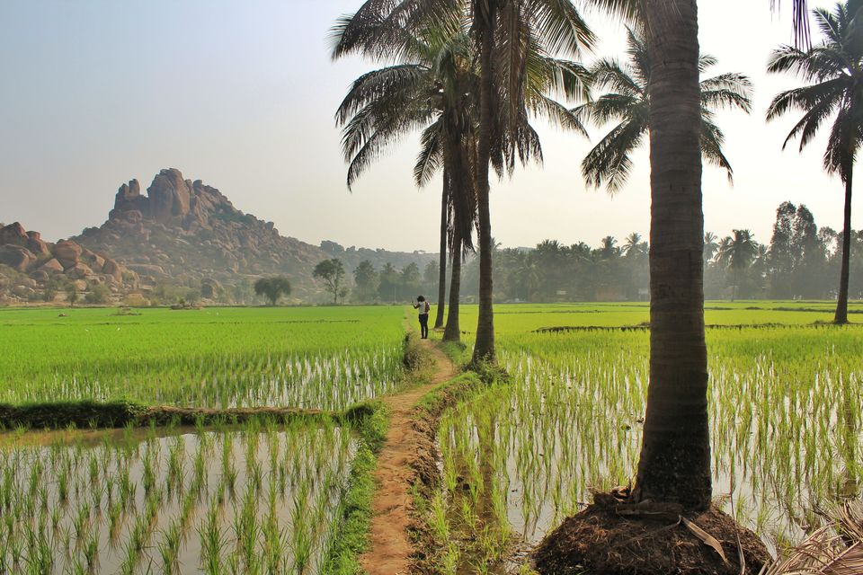 Photo of Ruins with a soul – An ultimate guide to Hampi 1/2 by Shilpa Shashidhar
