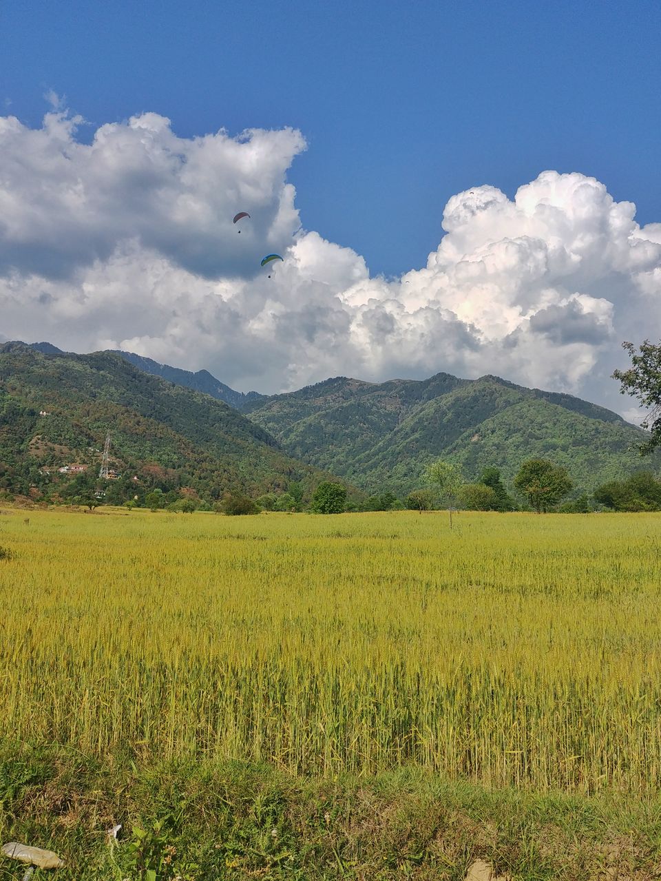 Photo of Zostel Bir, Chougan, Himachal Pradesh, India by Shilpa Shashidhar