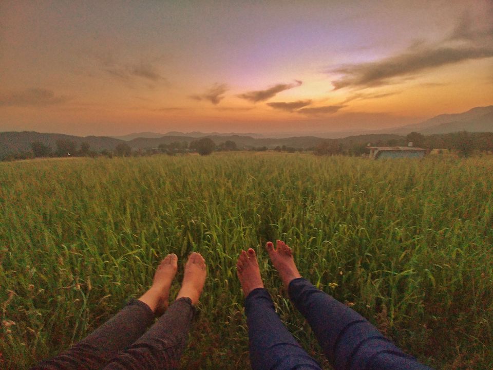 Photo of Blissfully flying high in Bir – 2nd best site in the world for paragliding! by Shilpa Shashidhar