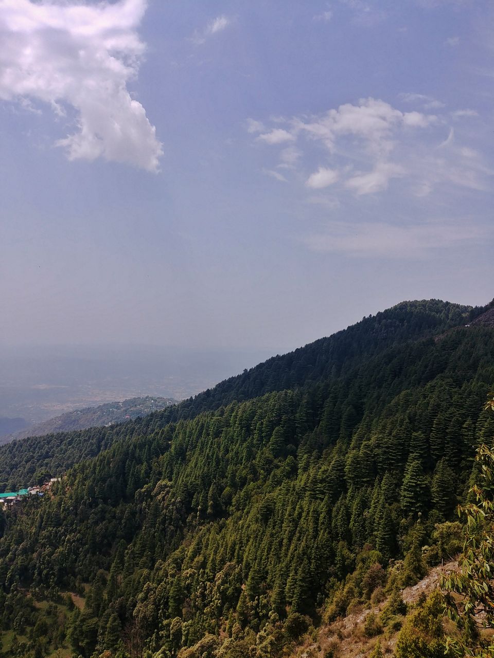 Photo of Triund, Himachal Pradesh by Shilpa Shashidhar