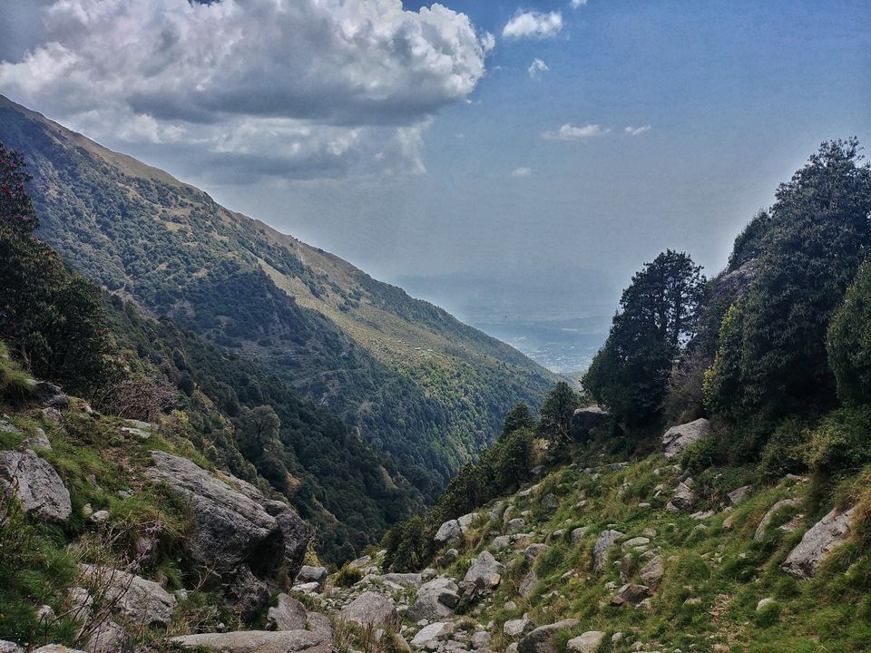 Photo of Triund, Himachal Pradesh by Shilpa Shashidhar
