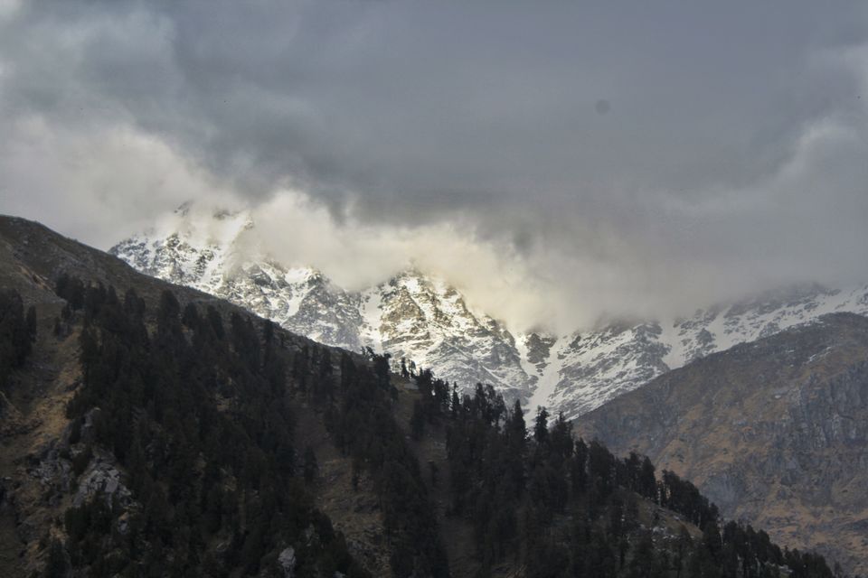 Photo of Trek to Snowline peak and a night under zillion stars! by Shilpa Shashidhar