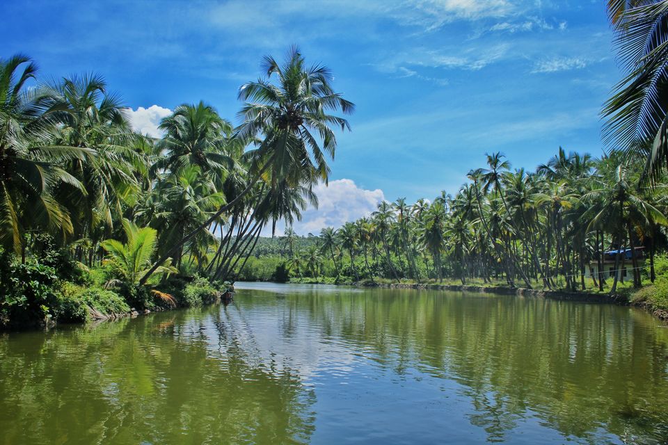 Photo of Kannur – The lesser known paradise! 1/1 by Shilpa Shashidhar