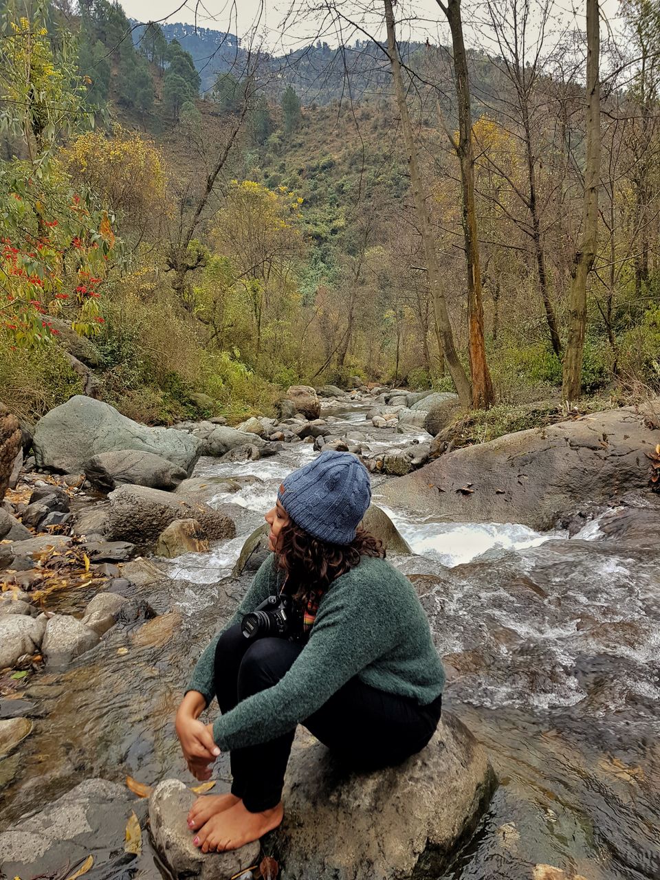 Photo of Living in a secret hideaway in Himachal 13/13 by Shilpa Shashidhar