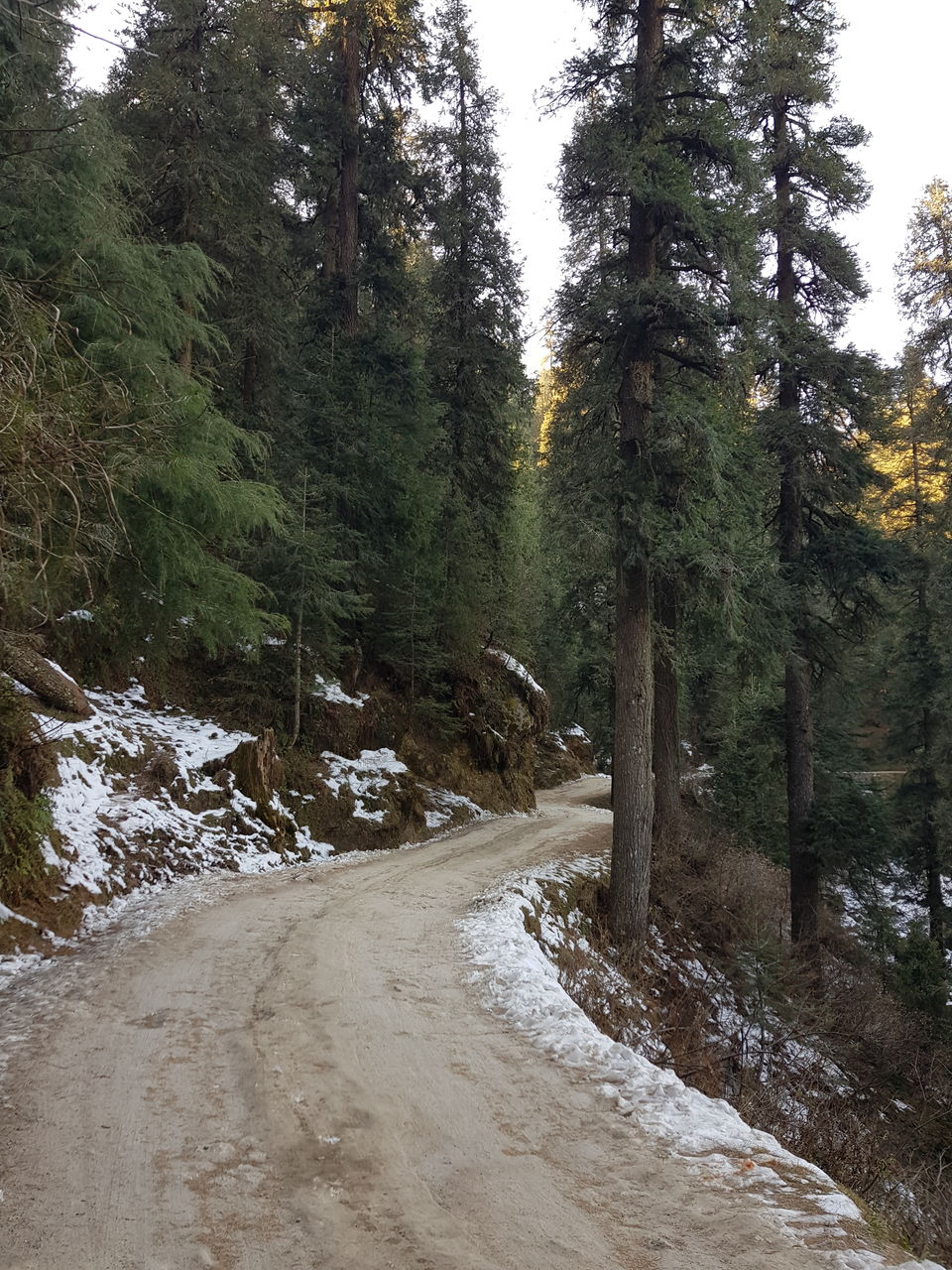 Photo of Yearend Getaway to Dalhousie 1/6 by Shilpa Shashidhar