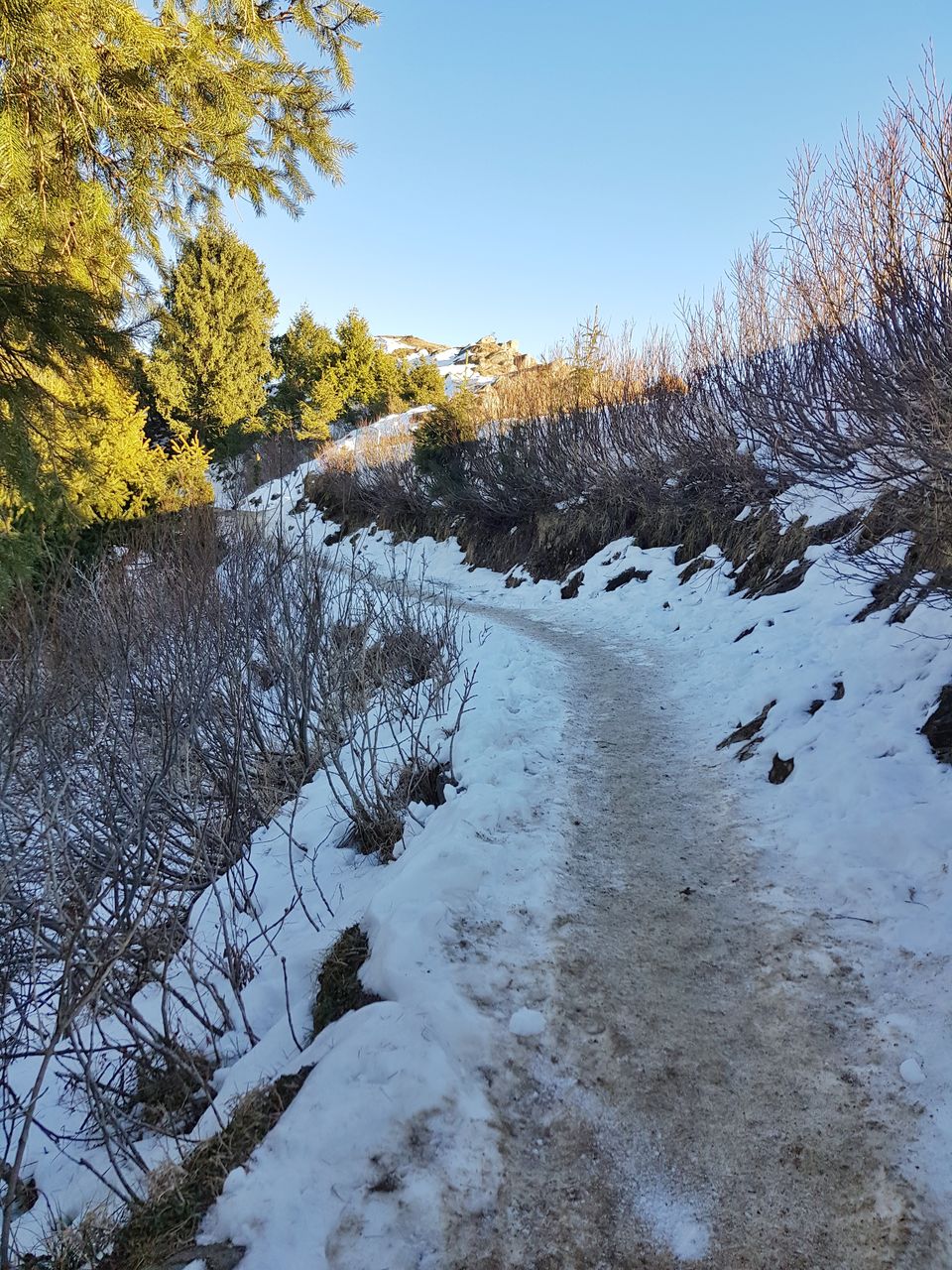 Photo of Yearend Getaway to Dalhousie 4/6 by Shilpa Shashidhar