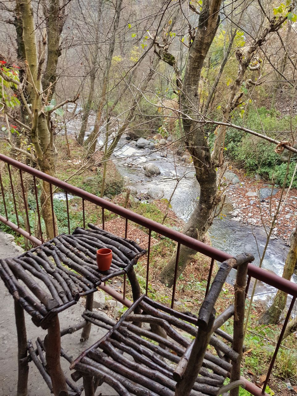 Photo of Living in a secret hideaway in Himachal 6/13 by Shilpa Shashidhar