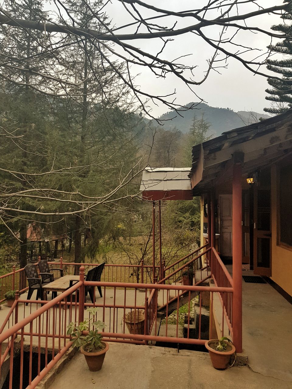 Photo of Living in a secret hideaway in Himachal 3/13 by Shilpa Shashidhar