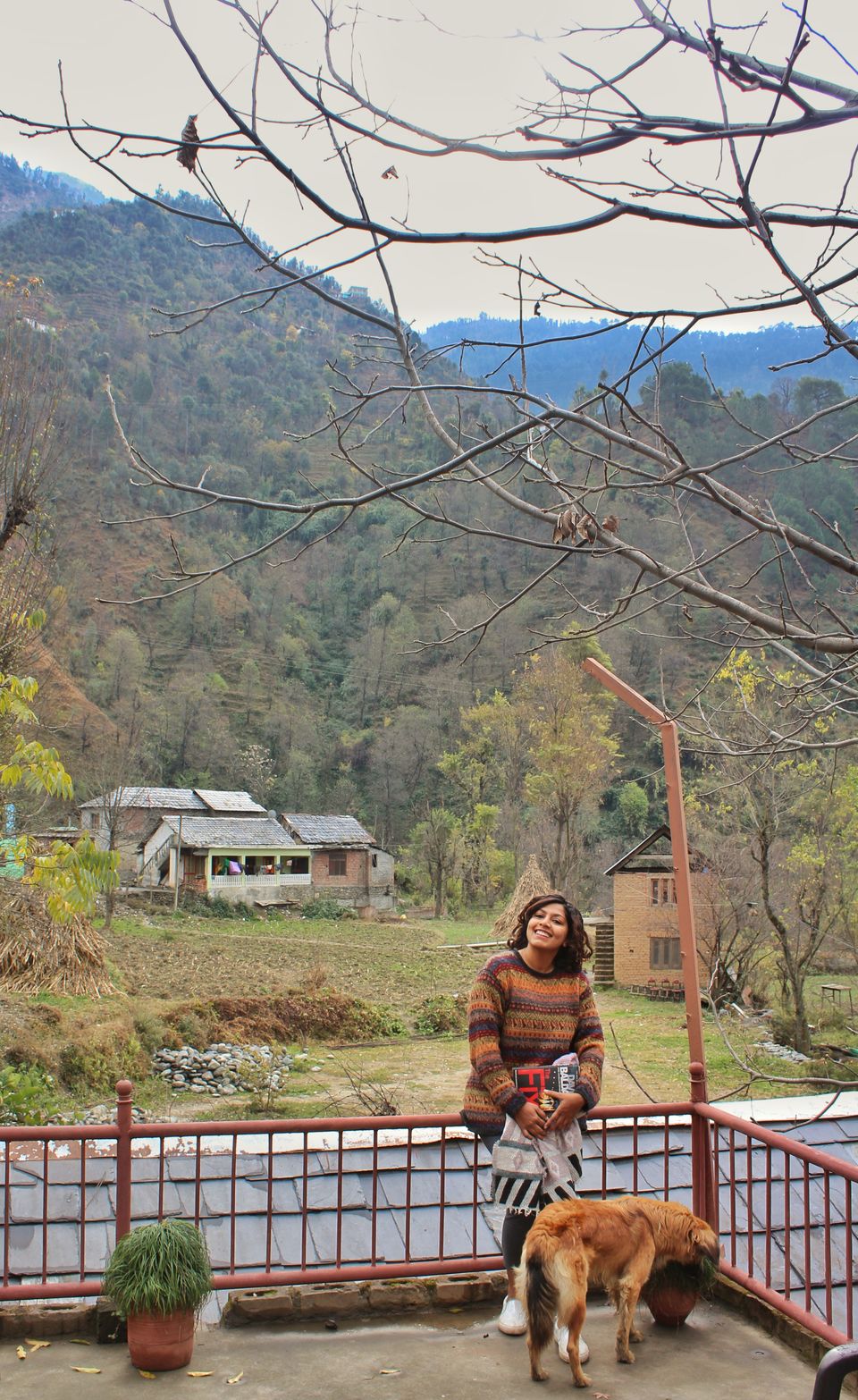 Photo of Living in a secret hideaway in Himachal 11/13 by Shilpa Shashidhar