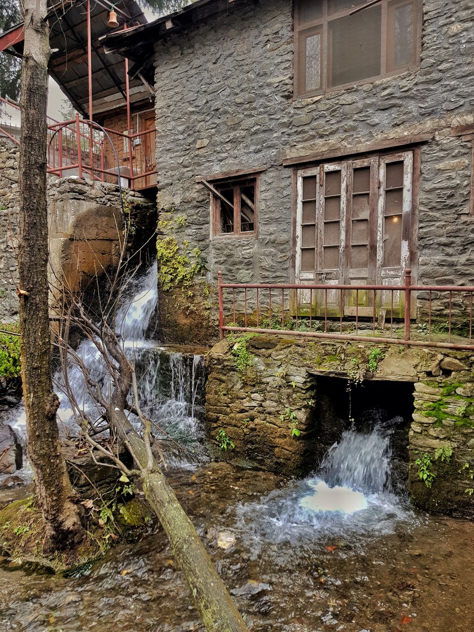 Photo of Living in a secret hideaway in Himachal 1/13 by Shilpa Shashidhar