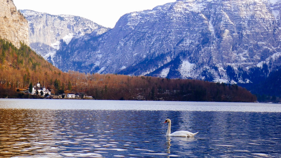 Photo of Spectacular views at Hallstatt, Austria 5/11 by Felicia Tan