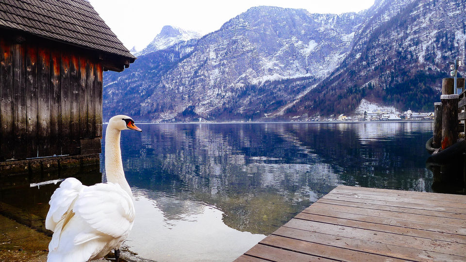 Photo of Spectacular views at Hallstatt, Austria 7/11 by Felicia Tan