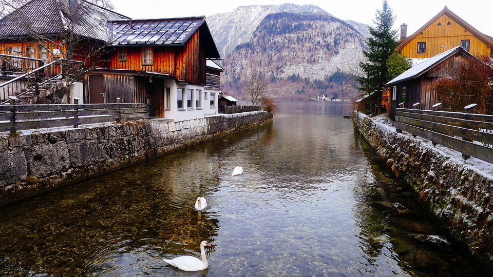 Photo of Spectacular views at Hallstatt, Austria 8/11 by Felicia Tan