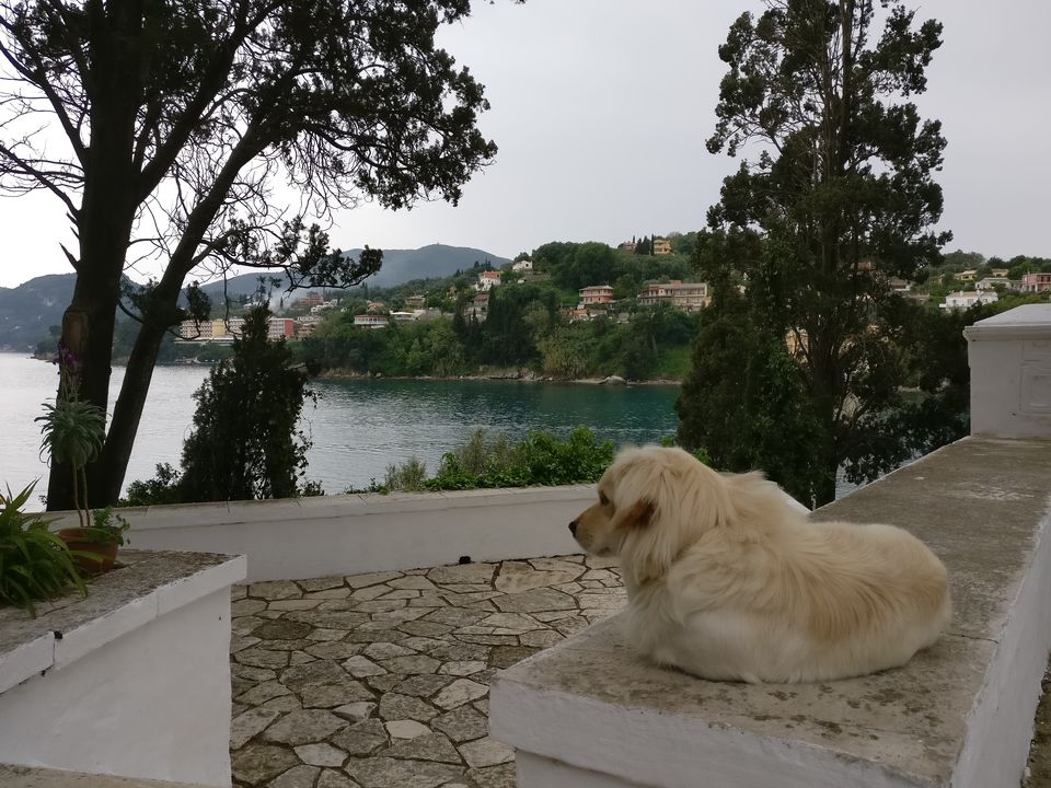 Photo of A Beach-Hopper’s Guide to Corfu - the Green Island of Greece by M