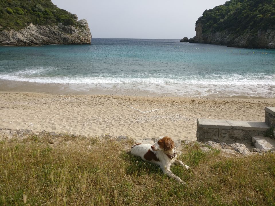 Photo of Corfu, Greece by M