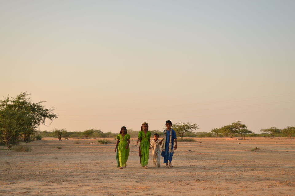 Photo of Banni, Kutch, Gujarat by M