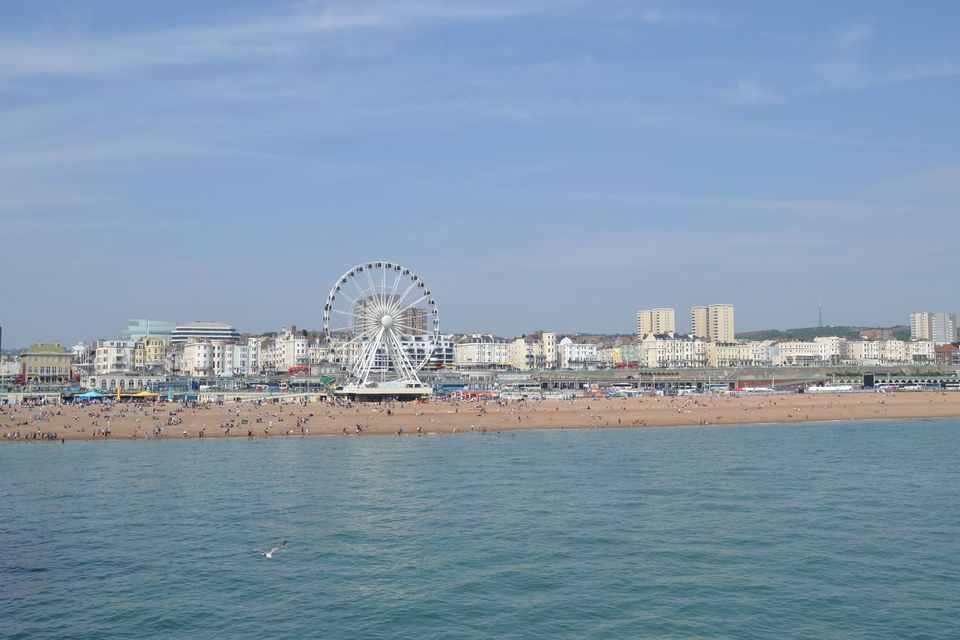 Photo of All Things Bright and Beautiful at Brighton Beach! 1/1 by M