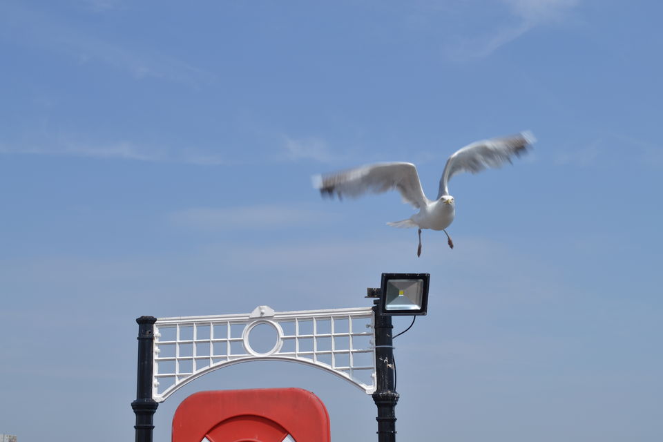 Photo of Brighton Beach, Madeira Drive, Brighton, UK by M